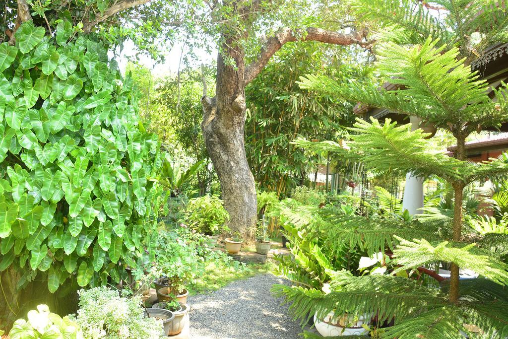 Livinginn Polonnaruwa Esterno foto