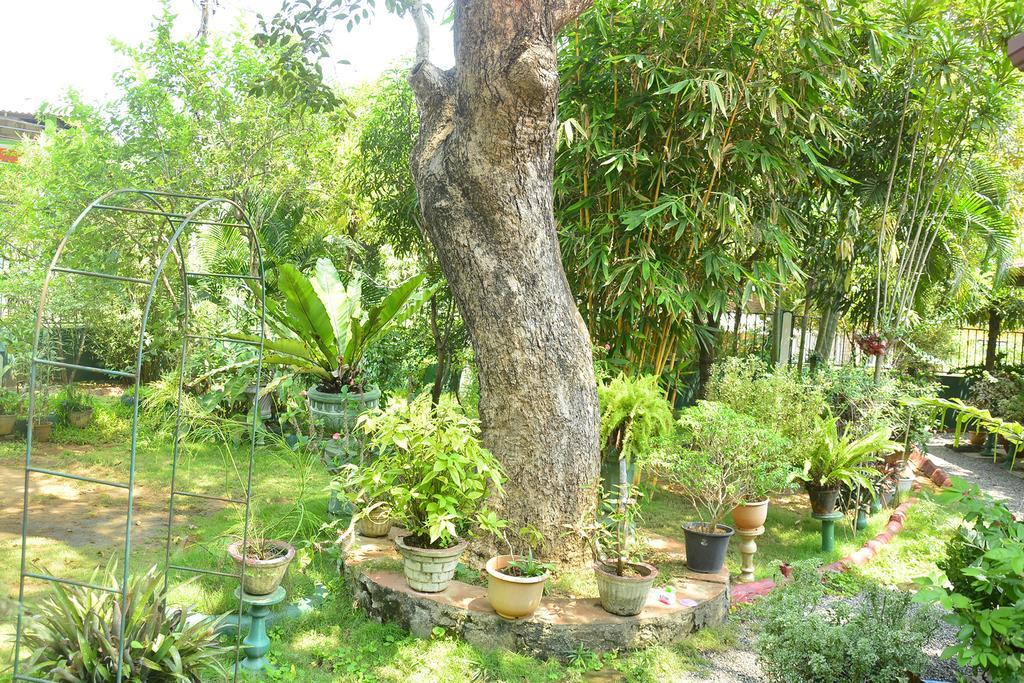 Livinginn Polonnaruwa Esterno foto