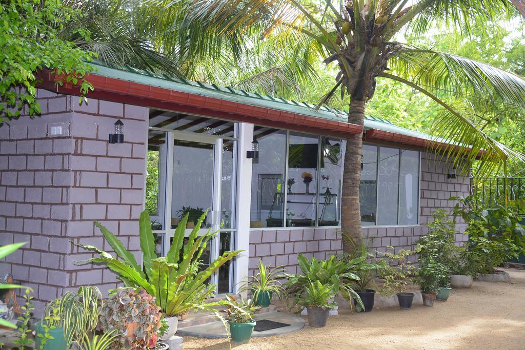 Livinginn Polonnaruwa Esterno foto